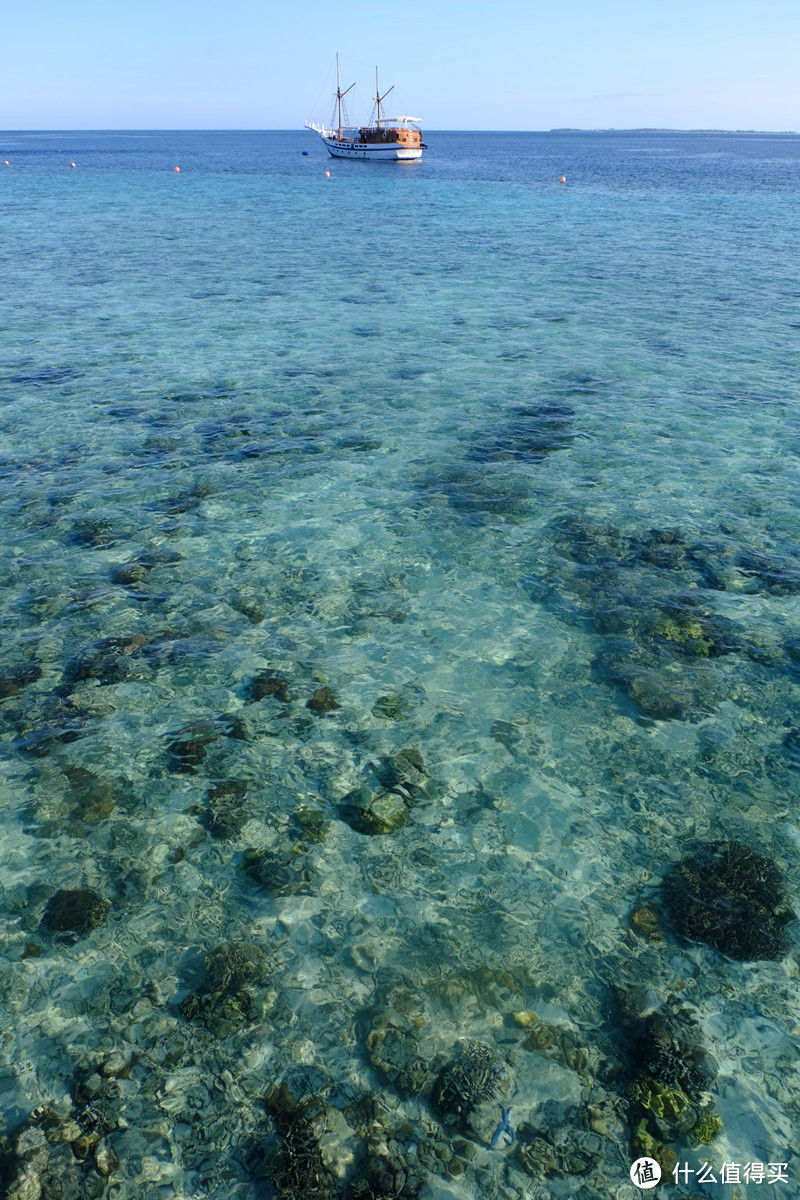 约会大海星辰 ——沙巴仙本那之行