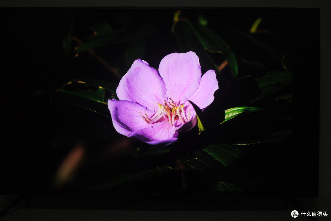 东哥送的春节礼物，京东购物中奖——MI 小米 L55M5-AA 55英寸 电视