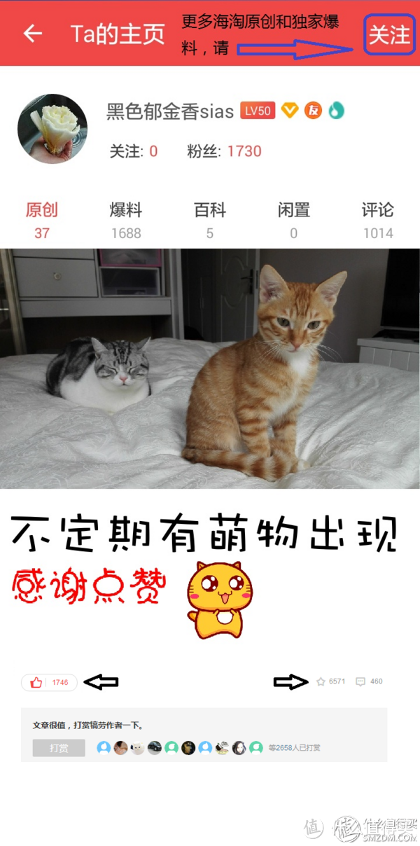 #年末大扫除#双猫家庭的几款清扫利器推荐