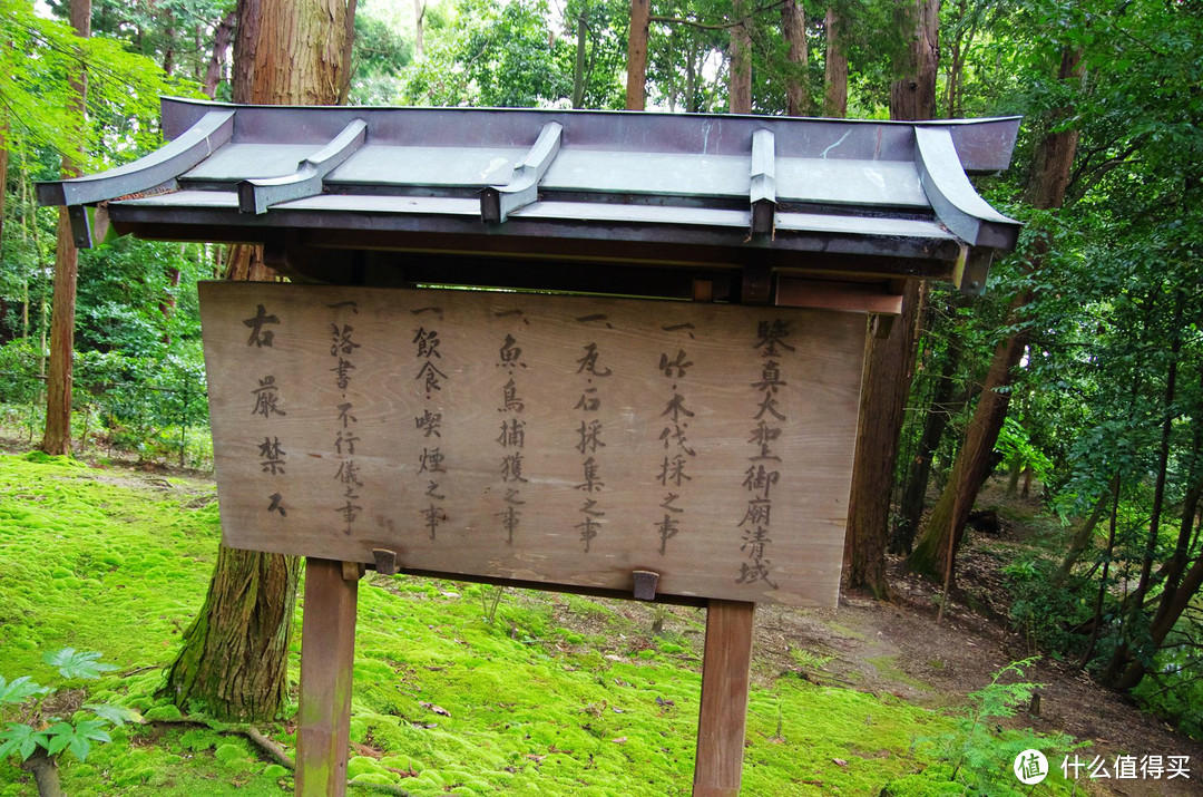 定要去，通红的春日大社、有故事的唐招提寺