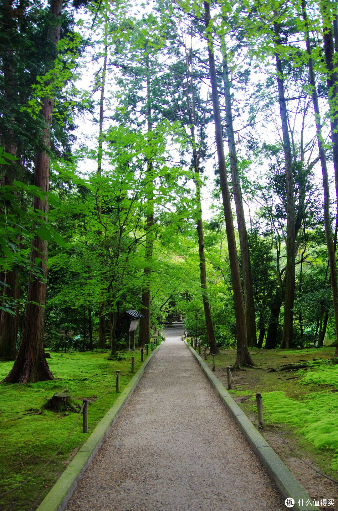 定要去，通红的春日大社、有故事的唐招提寺