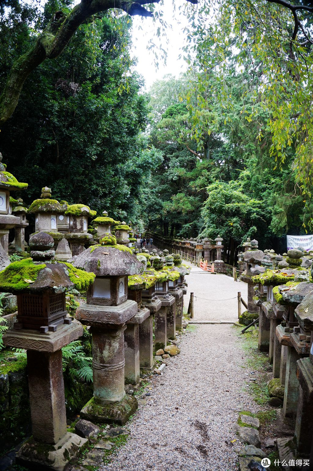 定要去，通红的春日大社、有故事的唐招提寺