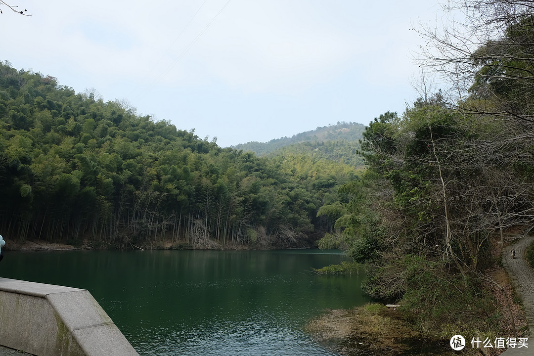 春节哪里玩？不去有老虎的雅戈尔动物园，梅逊教主-九龙湖半日游