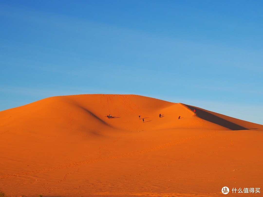 撒哈拉Sahara