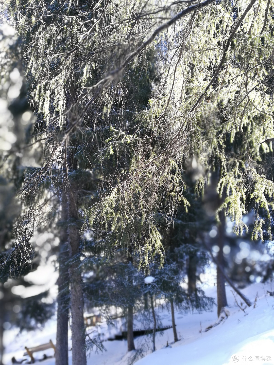 #原创新人#冬季到天池来看雪