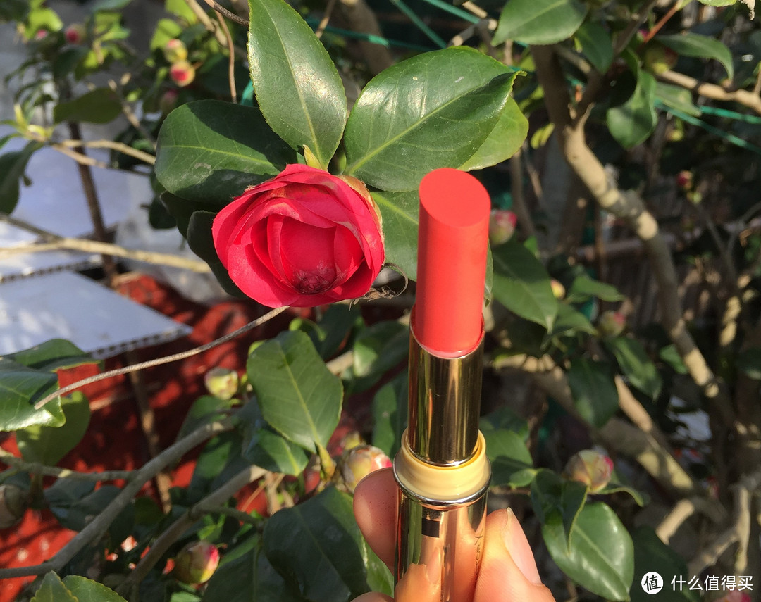 橘色新年 X maxfactor 蜜丝佛陀 恒彩润泽锁色唇膏