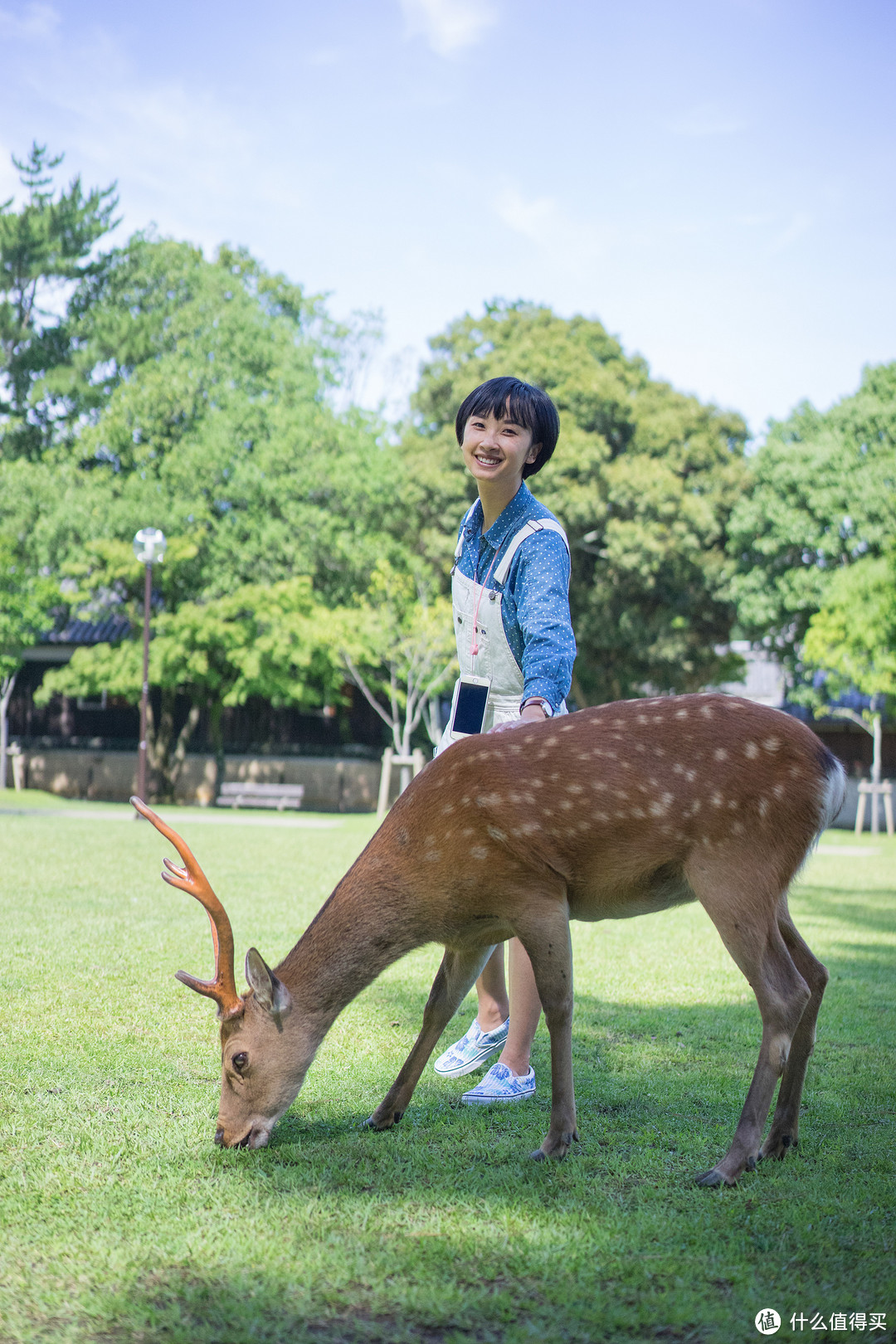 霓虹国十五日：和你在盛夏的日本 ❤