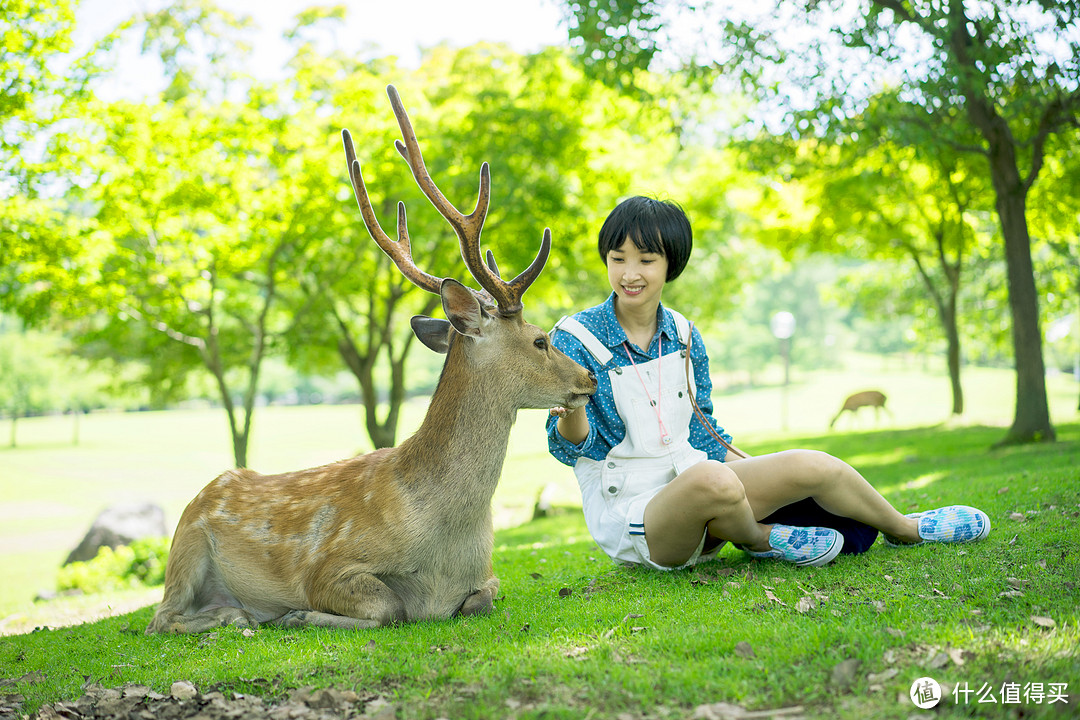 霓虹国十五日：和你在盛夏的日本 ❤