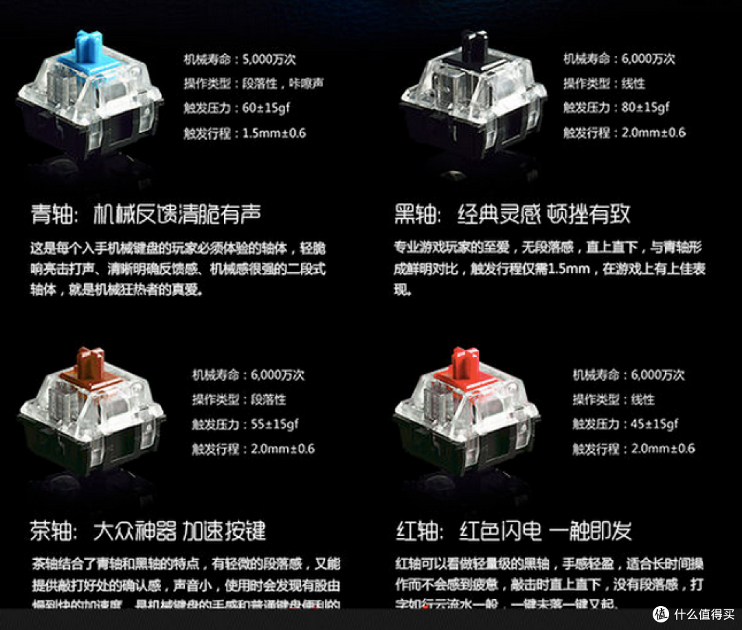 轴体介绍