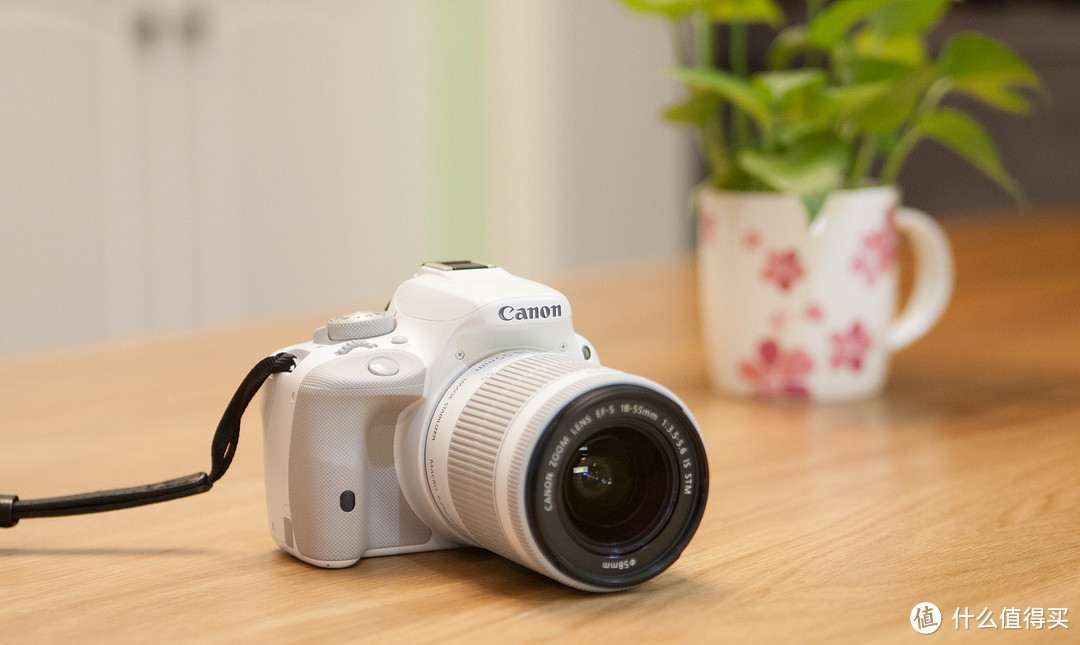 Canon 佳能 100D和入门镜头值得买吗？入手一年使用体验