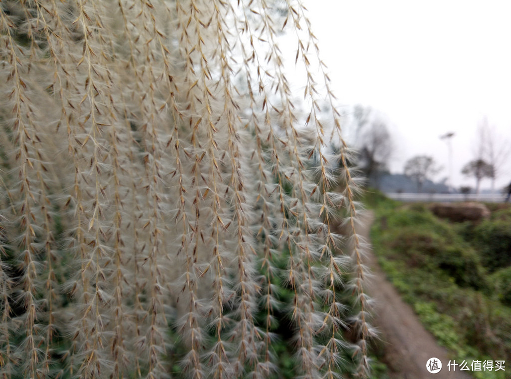 很魅族，不魅族——魅蓝 Note5雾天全家爬山随拍