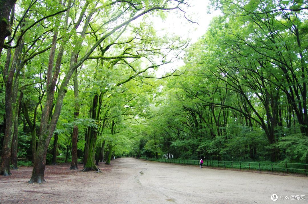 京都,那些你听过的和没听过的地方