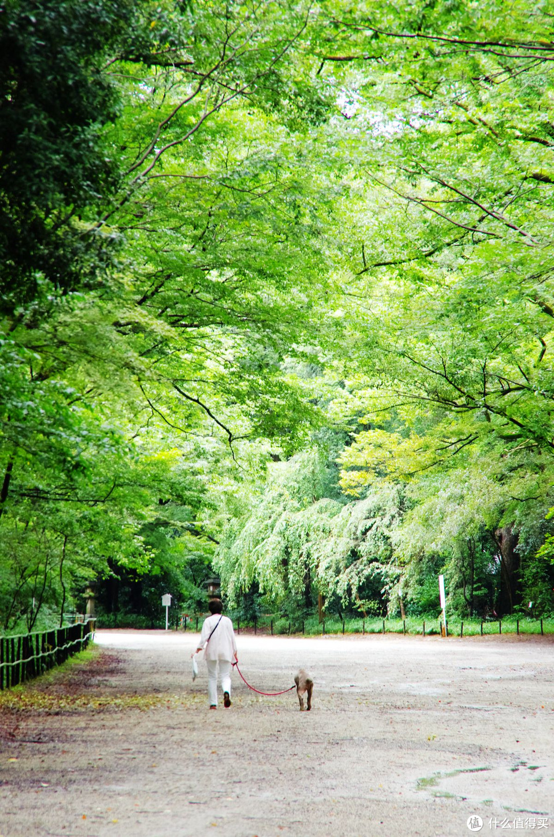 京都，那些你听过的和没听过的地方