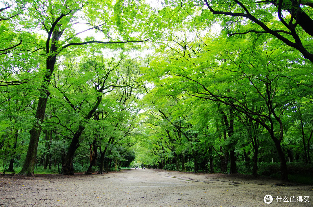 京都，那些你听过的和没听过的地方