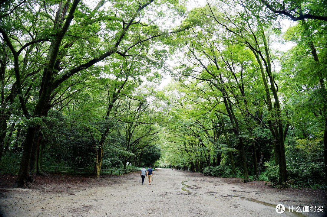 京都，那些你听过的和没听过的地方