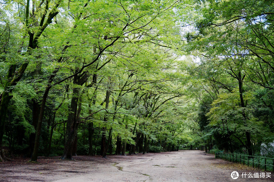 京都,那些你听过的和没听过的地方