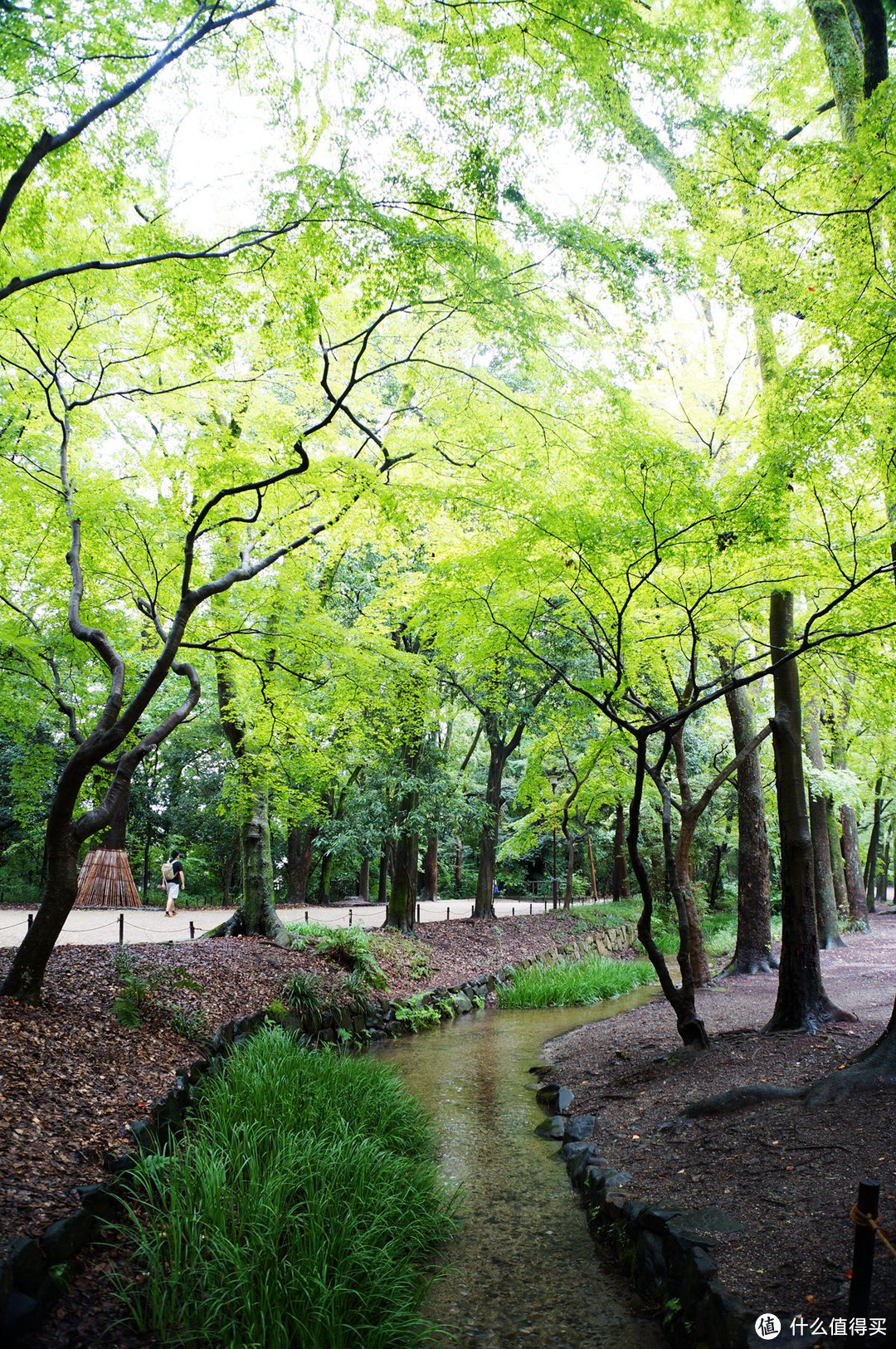 京都，那些你听过的和没听过的地方