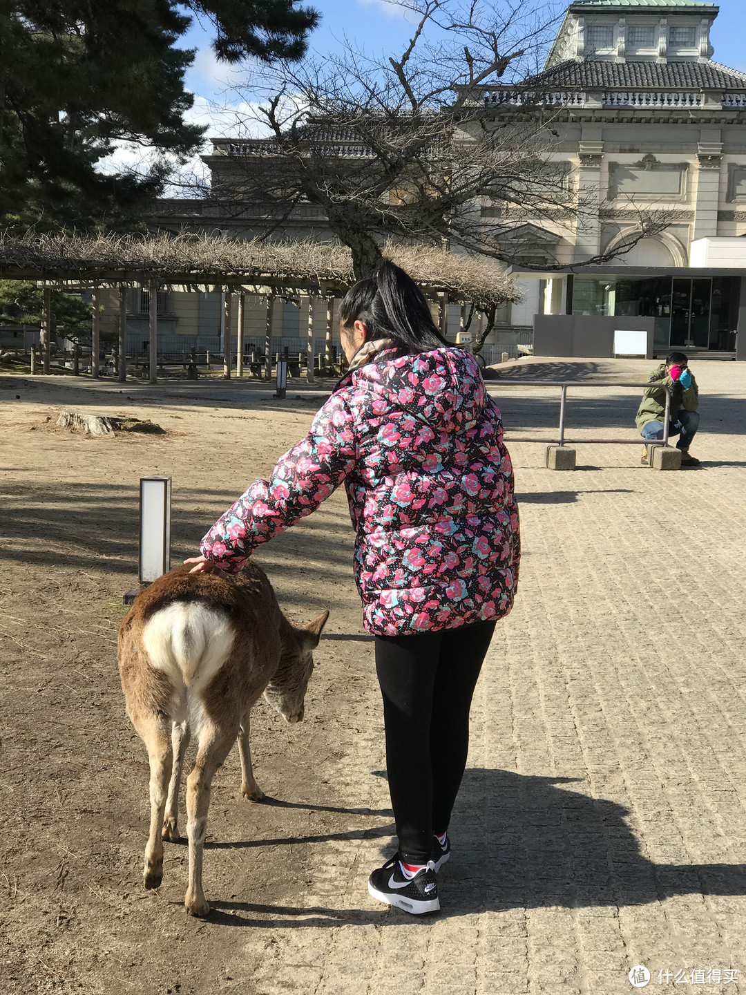 京都奈良