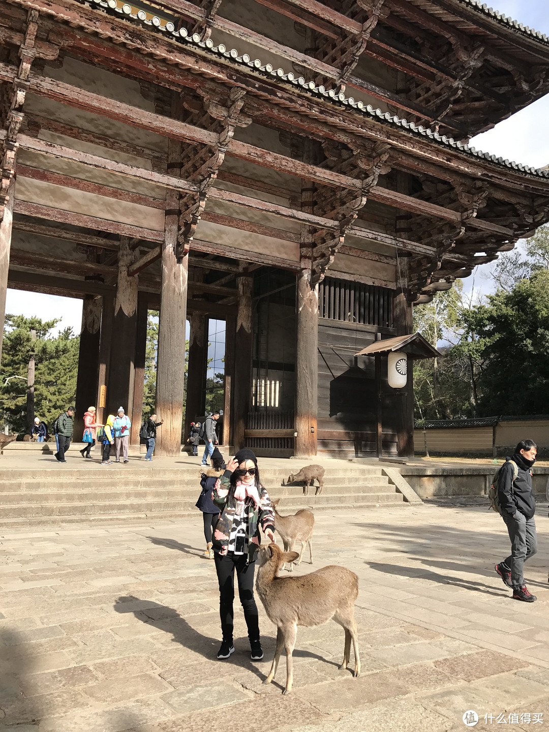 京都奈良