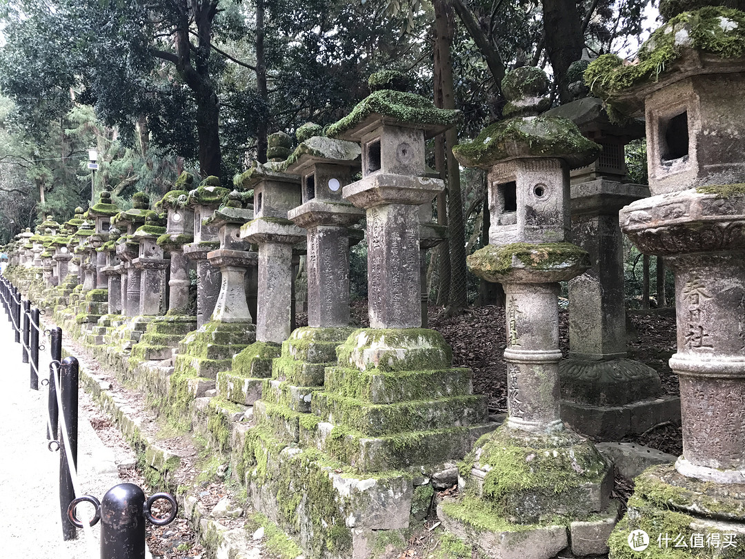 京都奈良