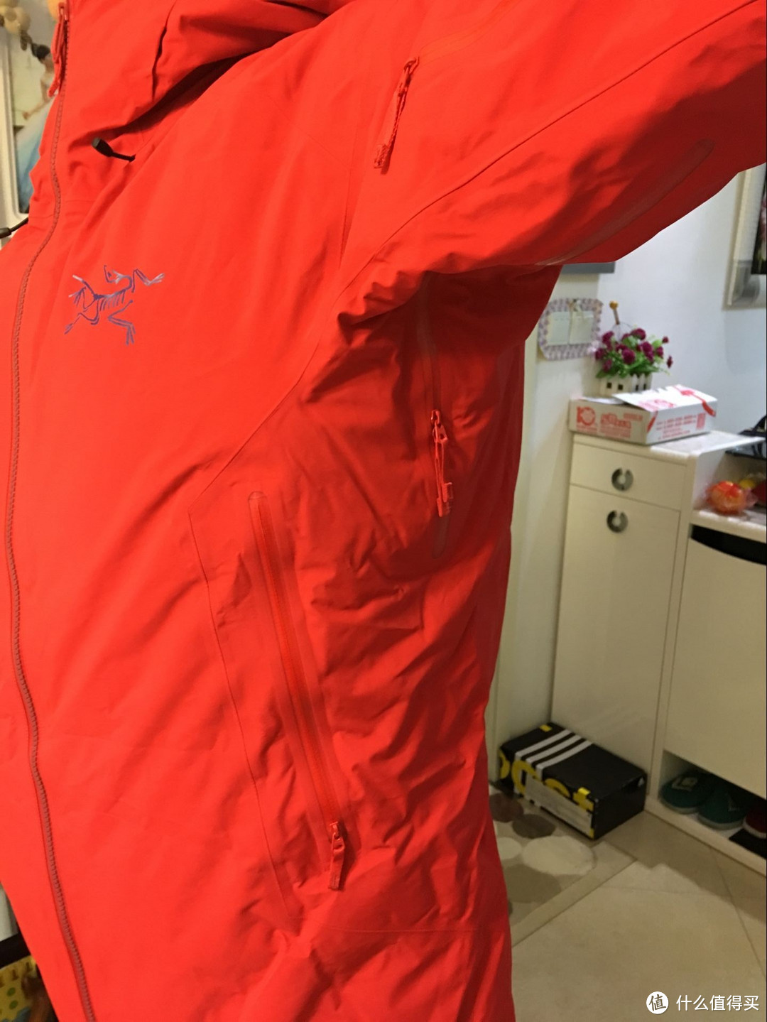 ARC'TERYX 始祖鸟 Fissile Jacket 旗舰硬壳滑雪羽绒服 晒单（内有彩蛋）