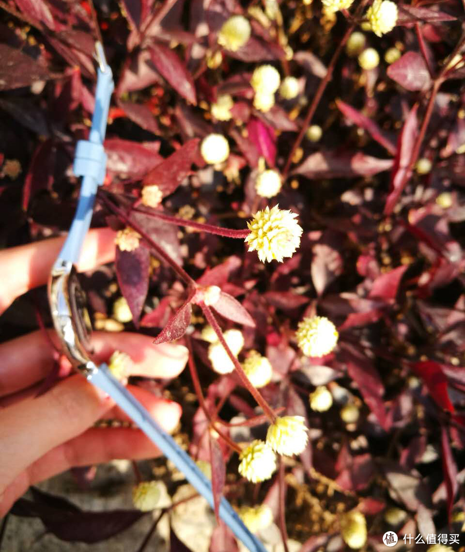很纤细的厚度 很纤细的厚度