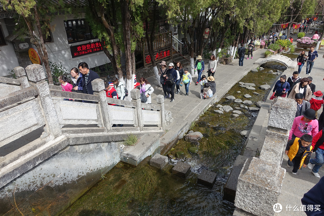 苍山在左，洱海在右：一次说走就走的大理