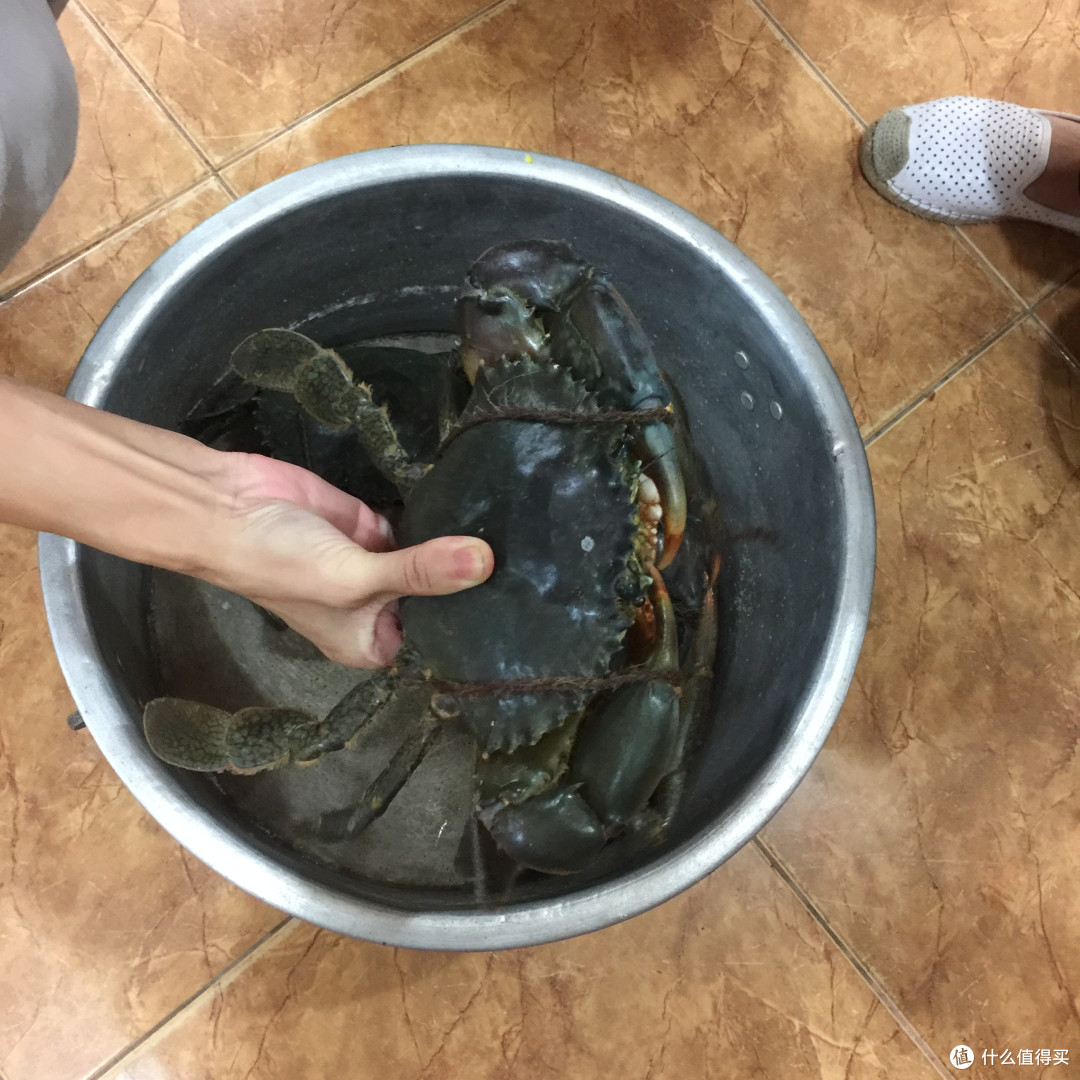 4人的斯里兰卡环岛游