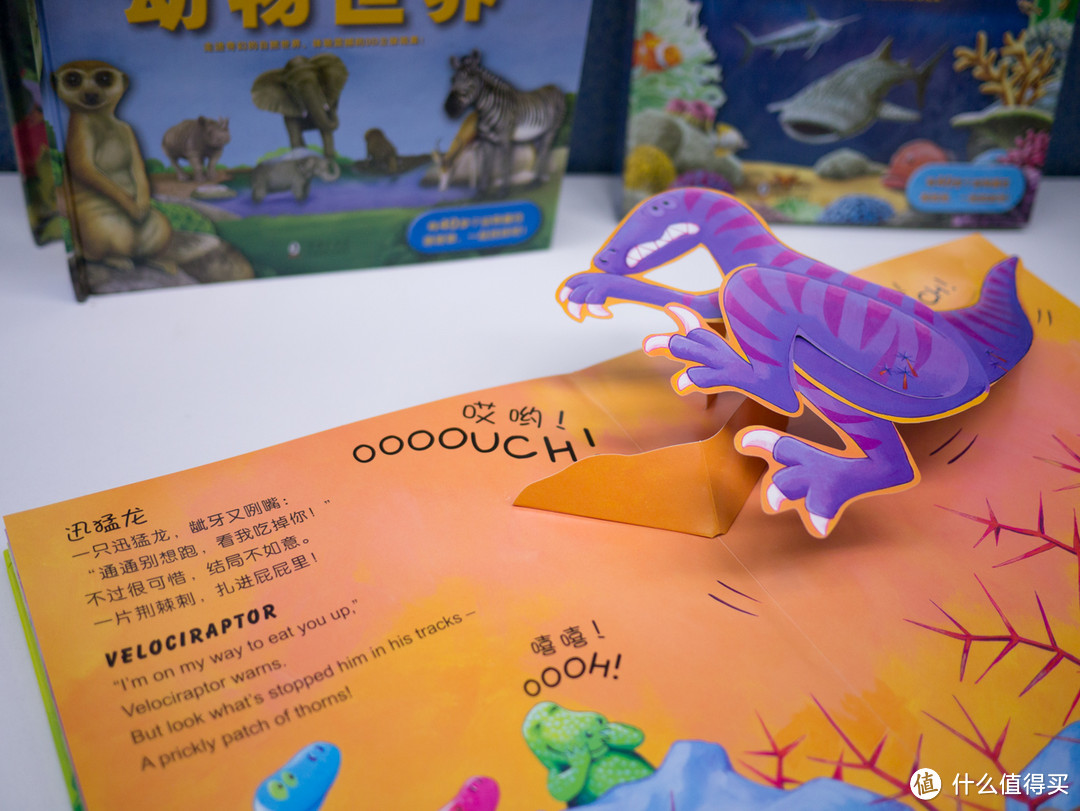 从小了解大自然——3D自然世界系列 儿童科普立体书