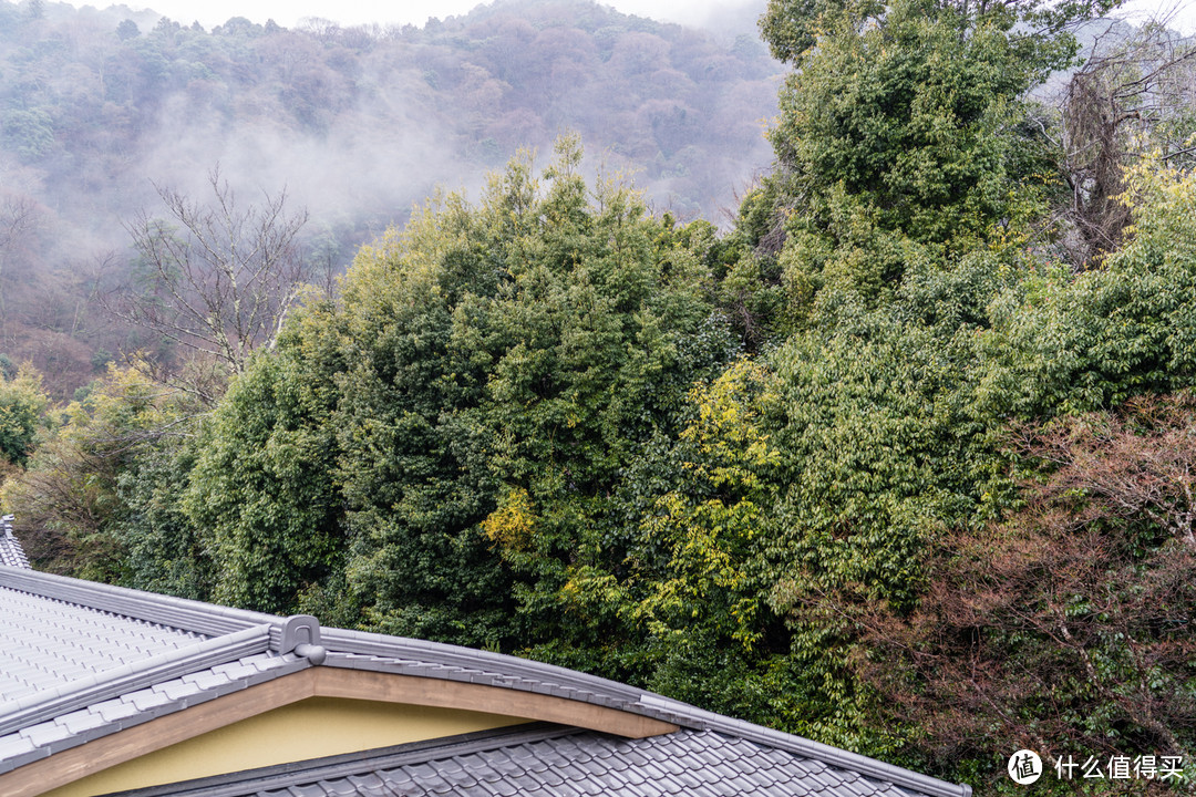 SPG头牌，京都翠岚豪华精选 Suiran, a Luxury Collection Hotel, Kyoto