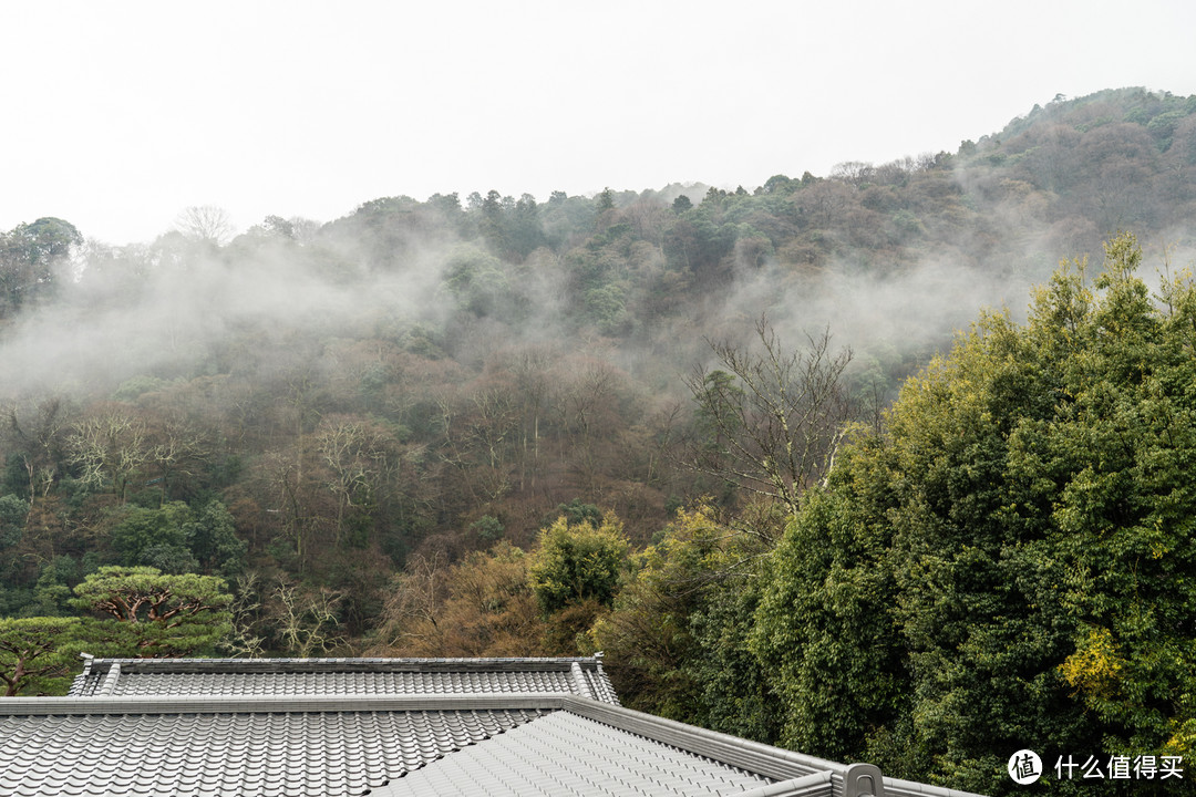 SPG头牌，京都翠岚豪华精选 Suiran, a Luxury Collection Hotel, Kyoto