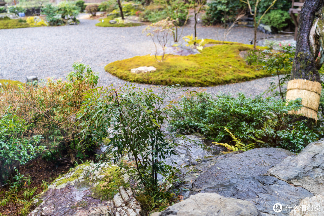 SPG头牌，京都翠岚豪华精选 Suiran, a Luxury Collection Hotel, Kyoto