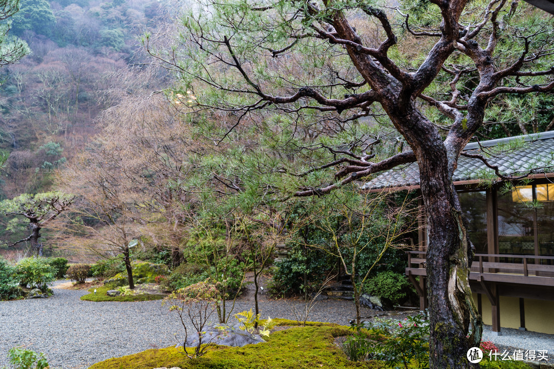 SPG头牌，京都翠岚豪华精选 Suiran, a Luxury Collection Hotel, Kyoto