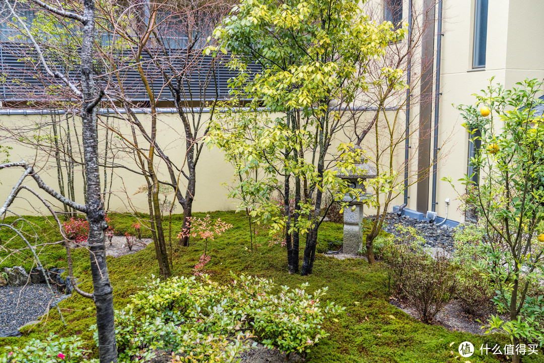 SPG头牌，京都翠岚豪华精选 Suiran, a Luxury Collection Hotel, Kyoto