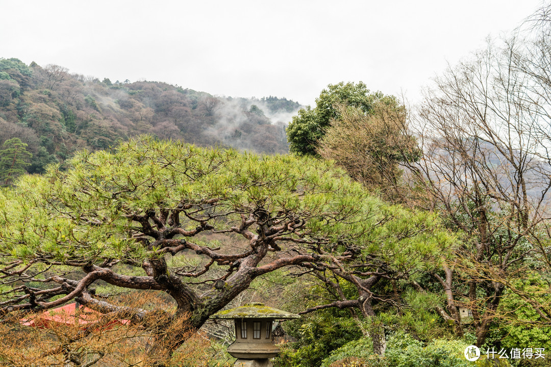 SPG头牌，京都翠岚豪华精选 Suiran, a Luxury Collection Hotel, Kyoto