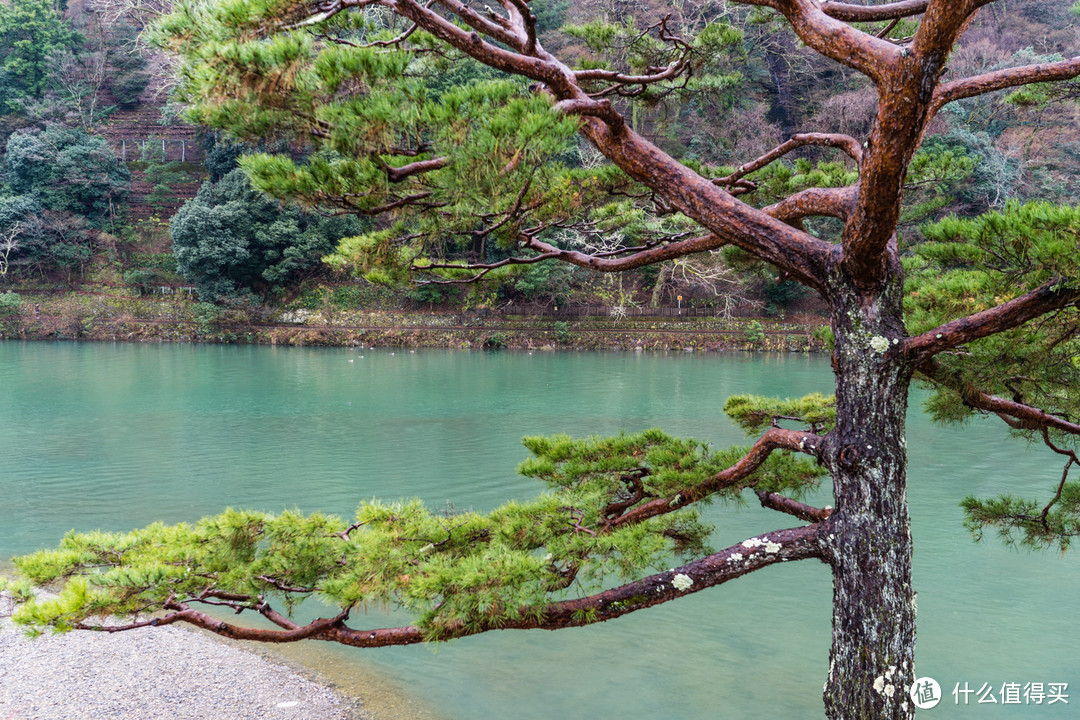 SPG头牌，京都翠岚豪华精选 Suiran, a Luxury Collection Hotel, Kyoto