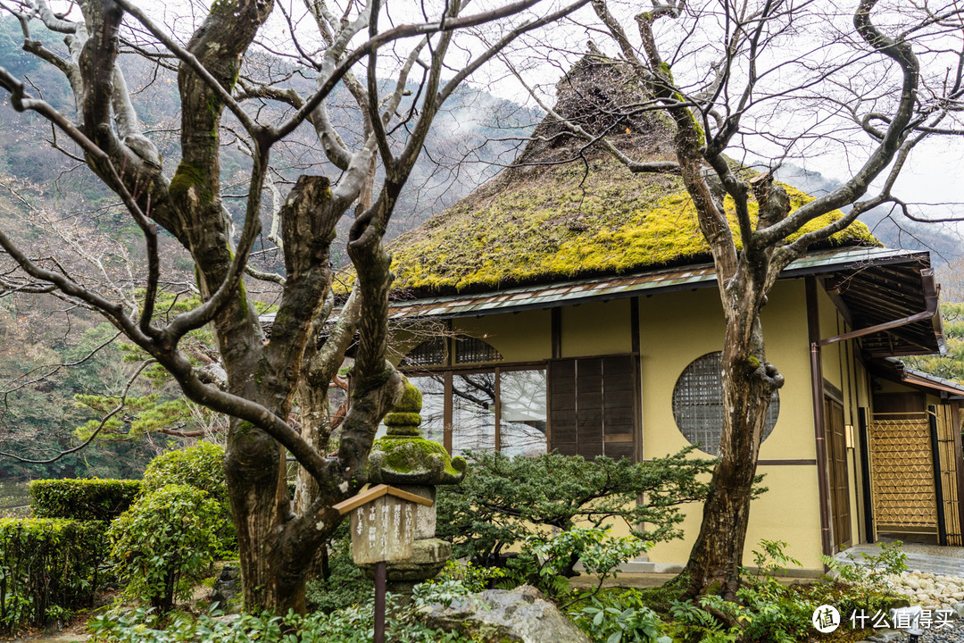 SPG头牌，京都翠岚豪华精选 Suiran, a Luxury Collection Hotel, Kyoto