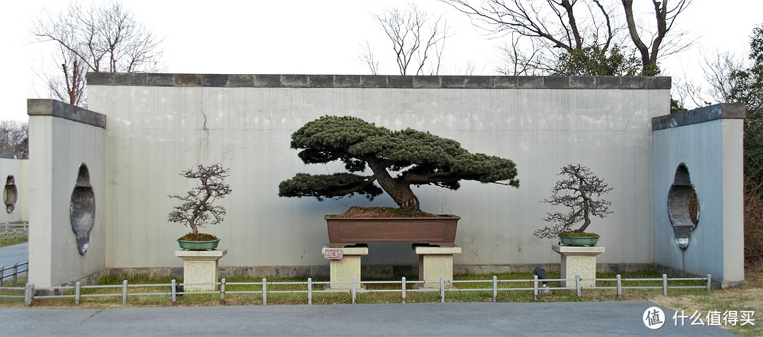 扬州一日游