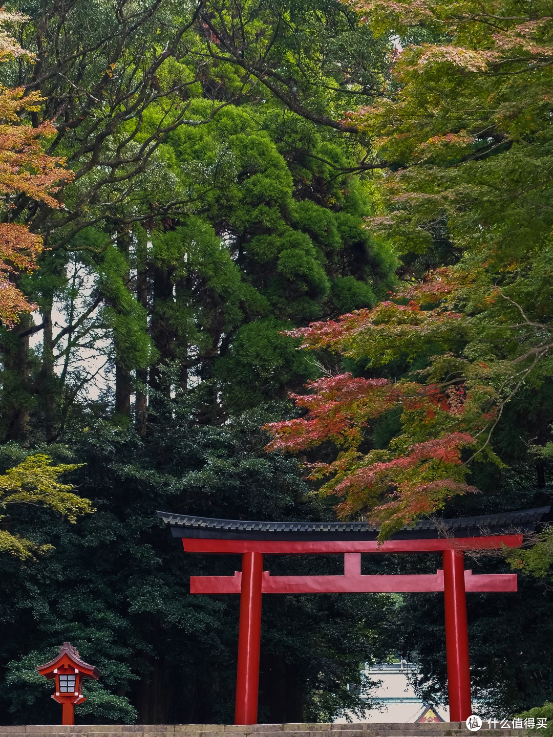 雾岛神宫的大鸟居