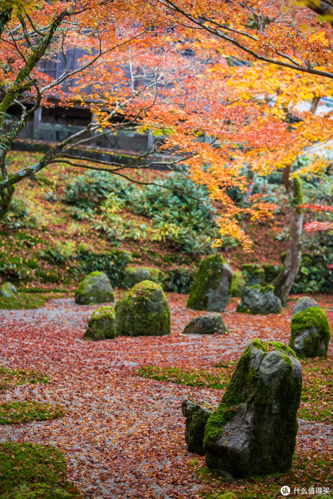 光明禅寺的枯山水比京都小多了。。