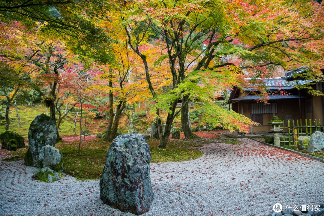 红叶配枯山水