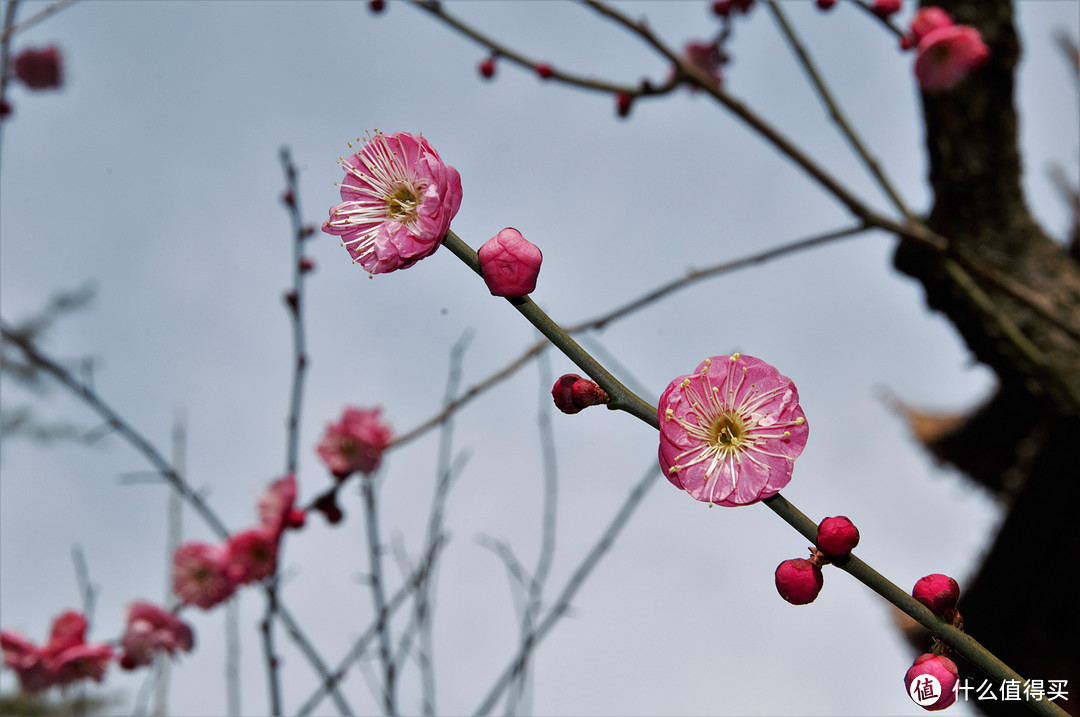 南京四日游