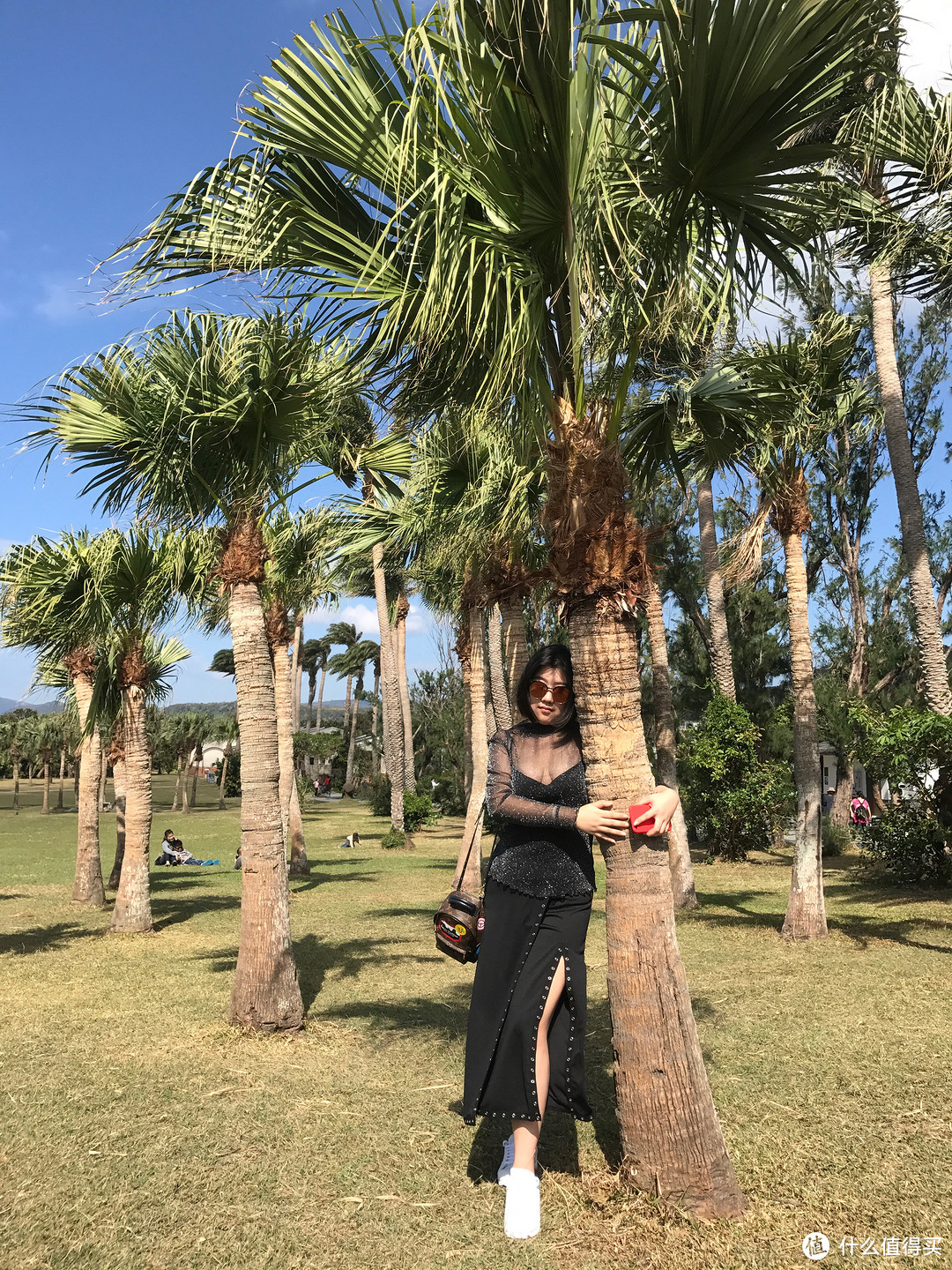 白塔是在鹅銮鼻公园里，一进去是一大片草地，椰子树