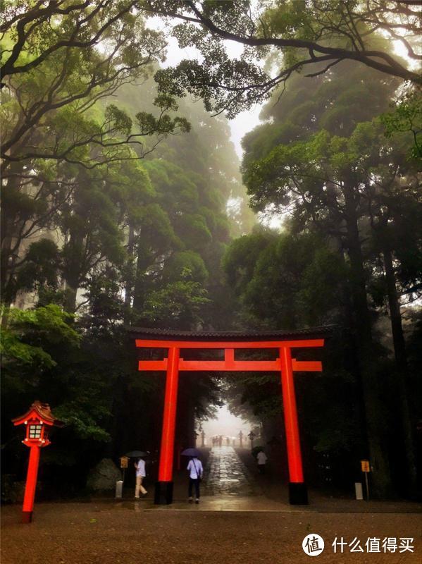 雨季来雾岛-寻找仙境还是寂静林?