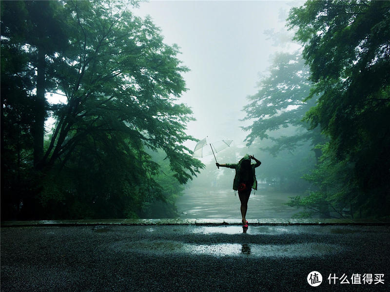 雨季来雾岛-寻找仙境还是寂静林?