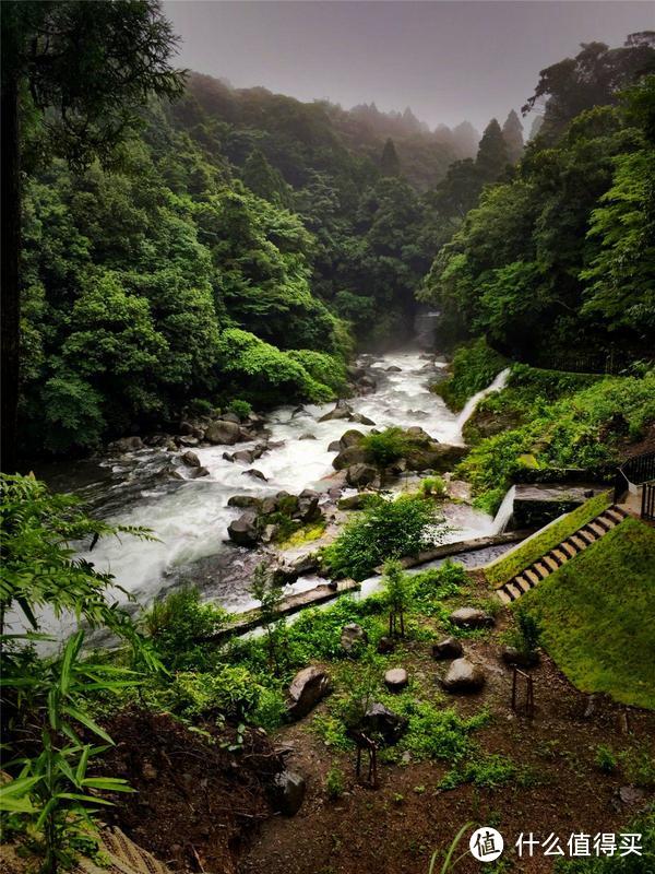 雨季来雾岛-寻找仙境还是寂静林?