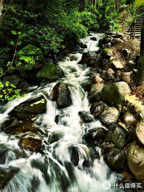 雨季来雾岛-寻找仙境还是寂静林?