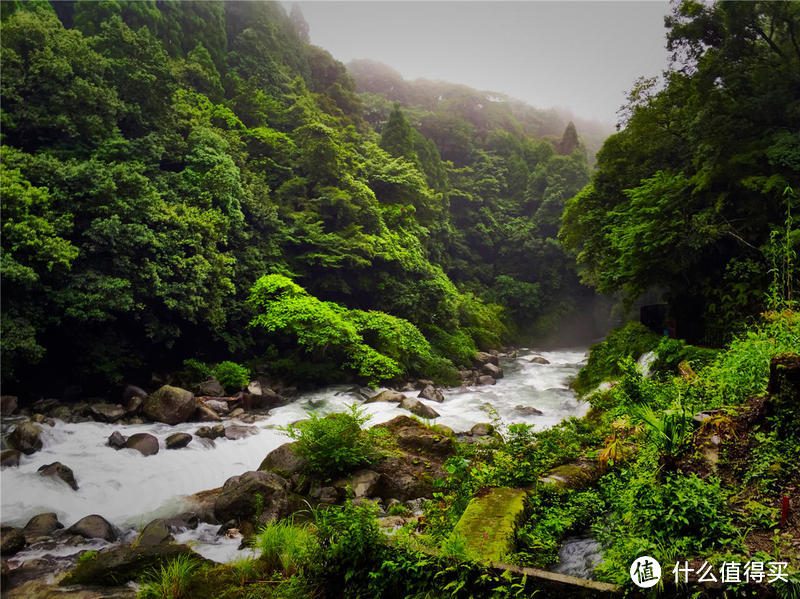 雨季来雾岛-寻找仙境还是寂静林?