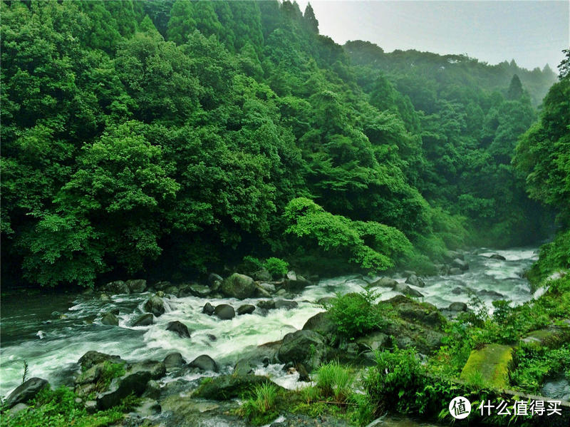 雨季来雾岛-寻找仙境还是寂静林?