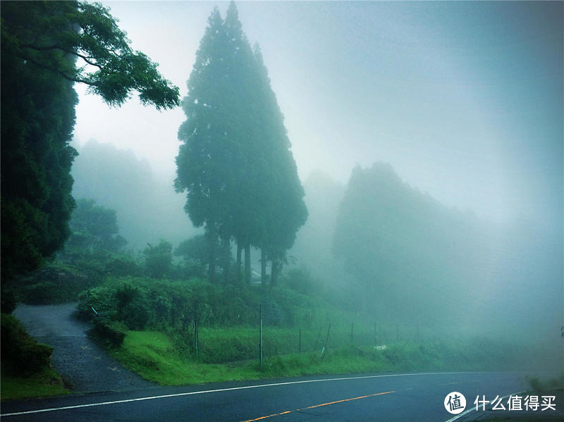 雨季来雾岛-寻找仙境还是寂静林?